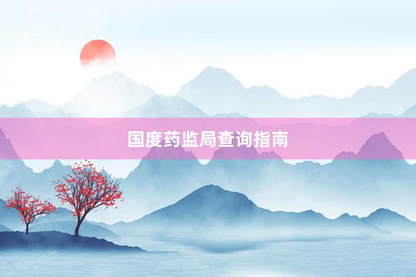 国度药监局查询指南